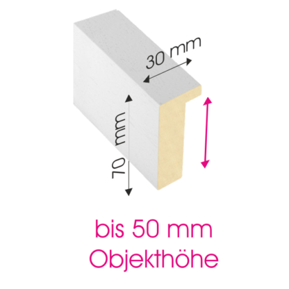Objektrahmen 50 mm Profil OSW